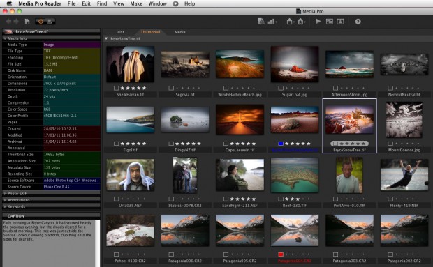 Phase One Media Pro - Metadatenanzeige (Bild: Phase One)